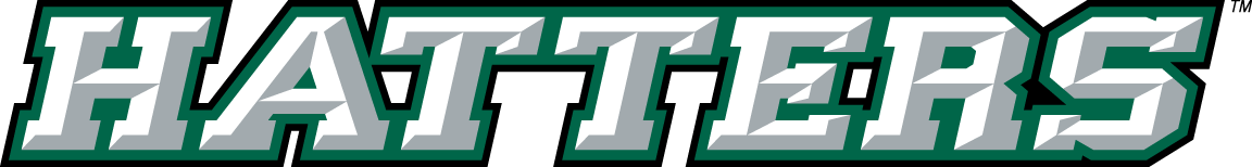 Stetson Hatters 2008-2017 Wordmark Logo iron on paper